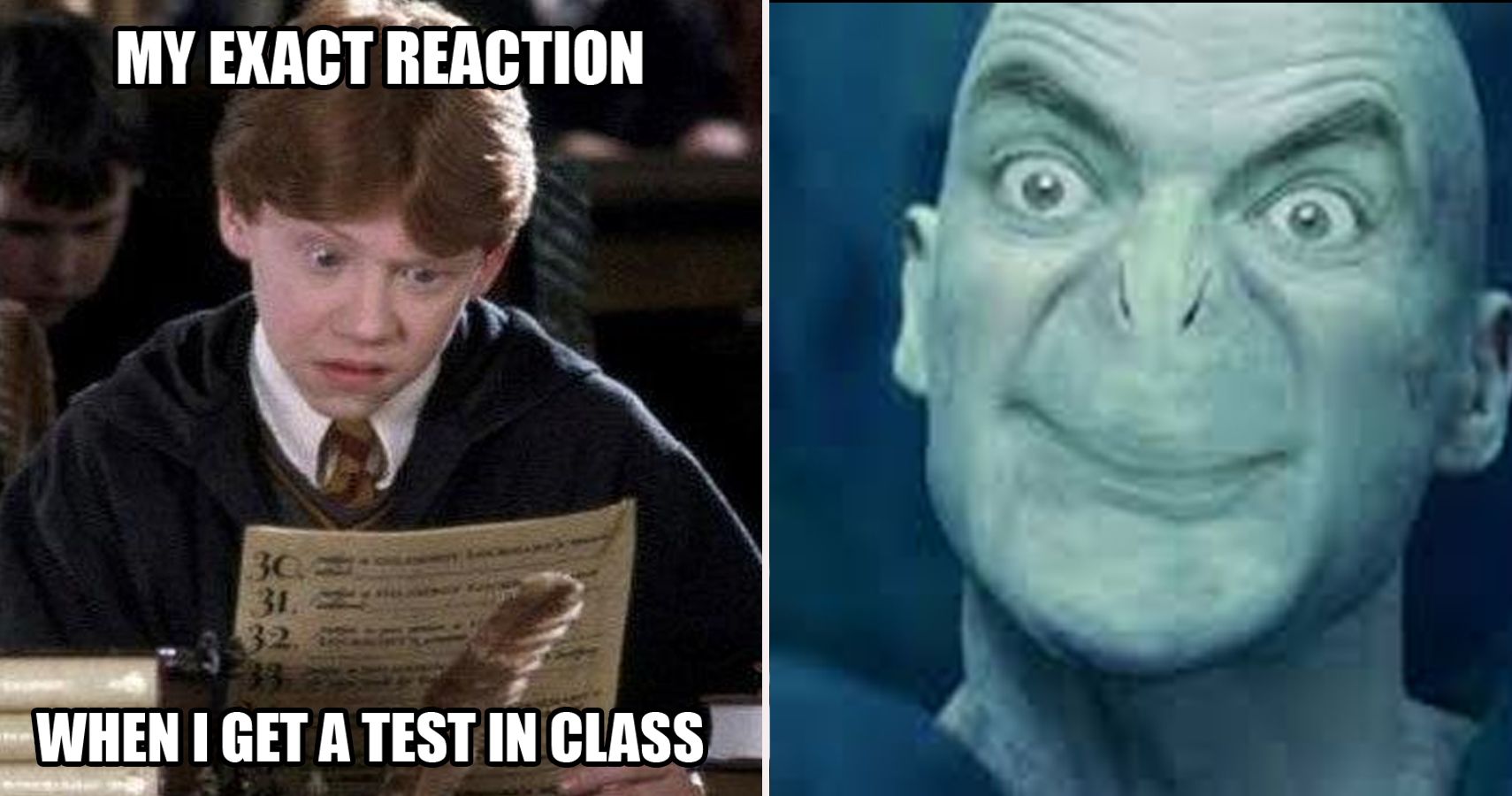 Harry Potter memes #2 (clean) 